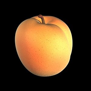 apricot 3d c4d