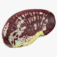 Christmas Pole Lima Bean - Raw Scan