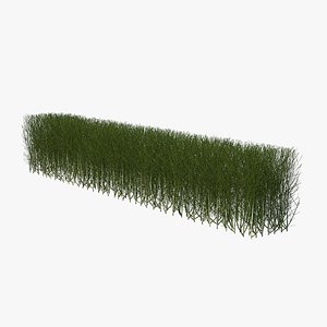 shrub branch fence 3D model