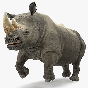 rhino adult running pose model