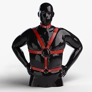 HarnessonMannequin model