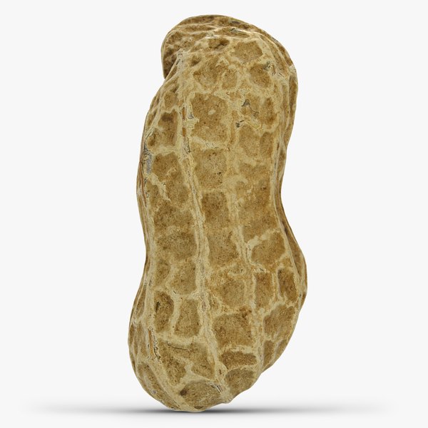 3D Peanut Shell