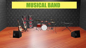 musical instrumants set
