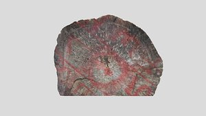 resolution target stump model