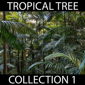 3D model tropical tree