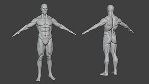Male Body Base Athletic Sculpt
