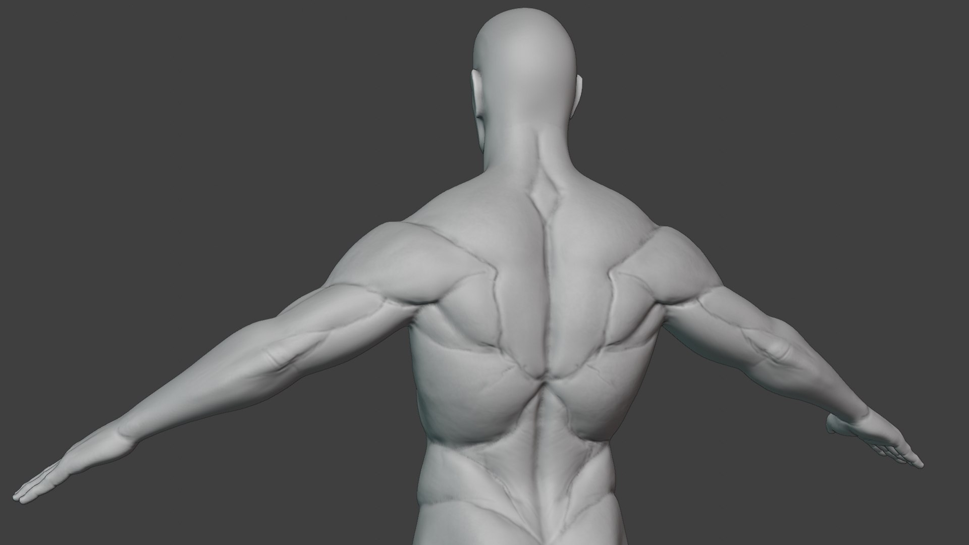 Male Body Base Athletic Sculpt 3D Model - TurboSquid 1780493