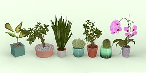 Pot Plants Collection