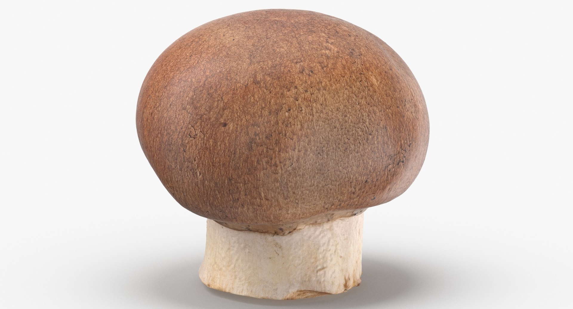 3D White and Crimino Mashrooms Collection 01 - 8 models https://p.turbosquid.com/ts-thumb/YU/n32y87/1Y/crimino_mushroom_02_thumbnail_0002.jpg8dd9208b5a894b07838a41f4d0e661ebzoom/jpg/1635431520/1920x1080/fit_q87/b02a862d6f094e990a1cf2232a7e564d6efed5c5/crimino_mushroom_02_thumbnail_0002.jpg8dd9208b5a894b07838a41f4d0e661ebzoom.jpg