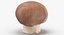 Collezione Mashrooms Bianco e Crimino 01 - 8 modelli