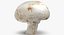 Collezione Mashrooms Bianco e Crimino 01 - 8 modelli