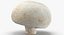 Collezione Mashrooms Bianco e Crimino 01 - 8 modelli