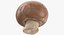 Collezione Mashrooms Bianco e Crimino 01 - 8 modelli
