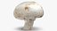 Collezione Mashrooms Bianco e Crimino 01 - 8 modelli