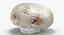 Collezione Mashrooms Bianco e Crimino 01 - 8 modelli