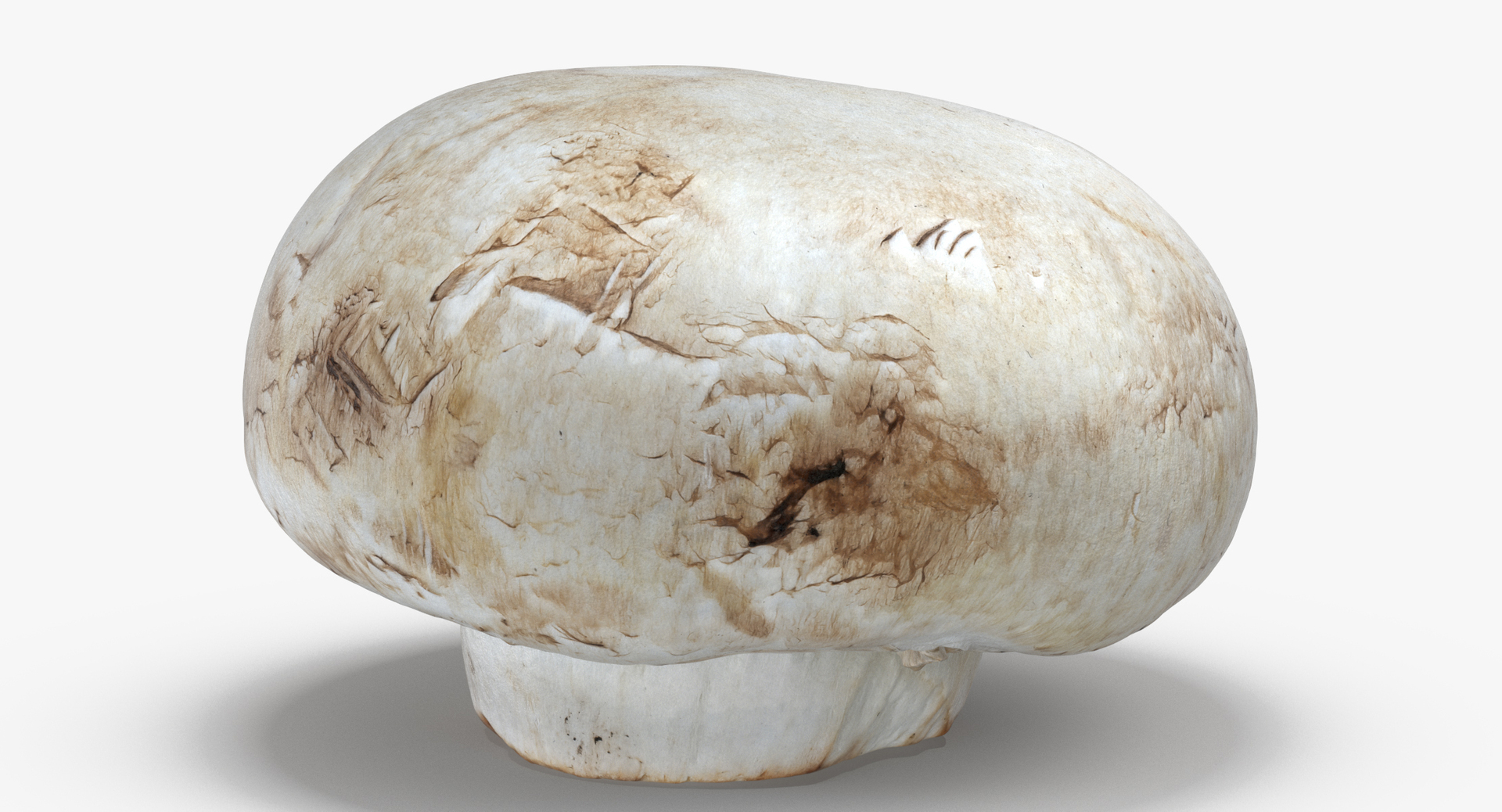 3D White and Crimino Mashrooms Collection 01 - 8 models https://p.turbosquid.com/ts-thumb/YU/n32y87/HF/0000/jpg/1556710128/1920x1080/turn_fit_q99/5e9a3e7e972ae445259f3ed36bbbef321f679d0b/0000-1.jpg