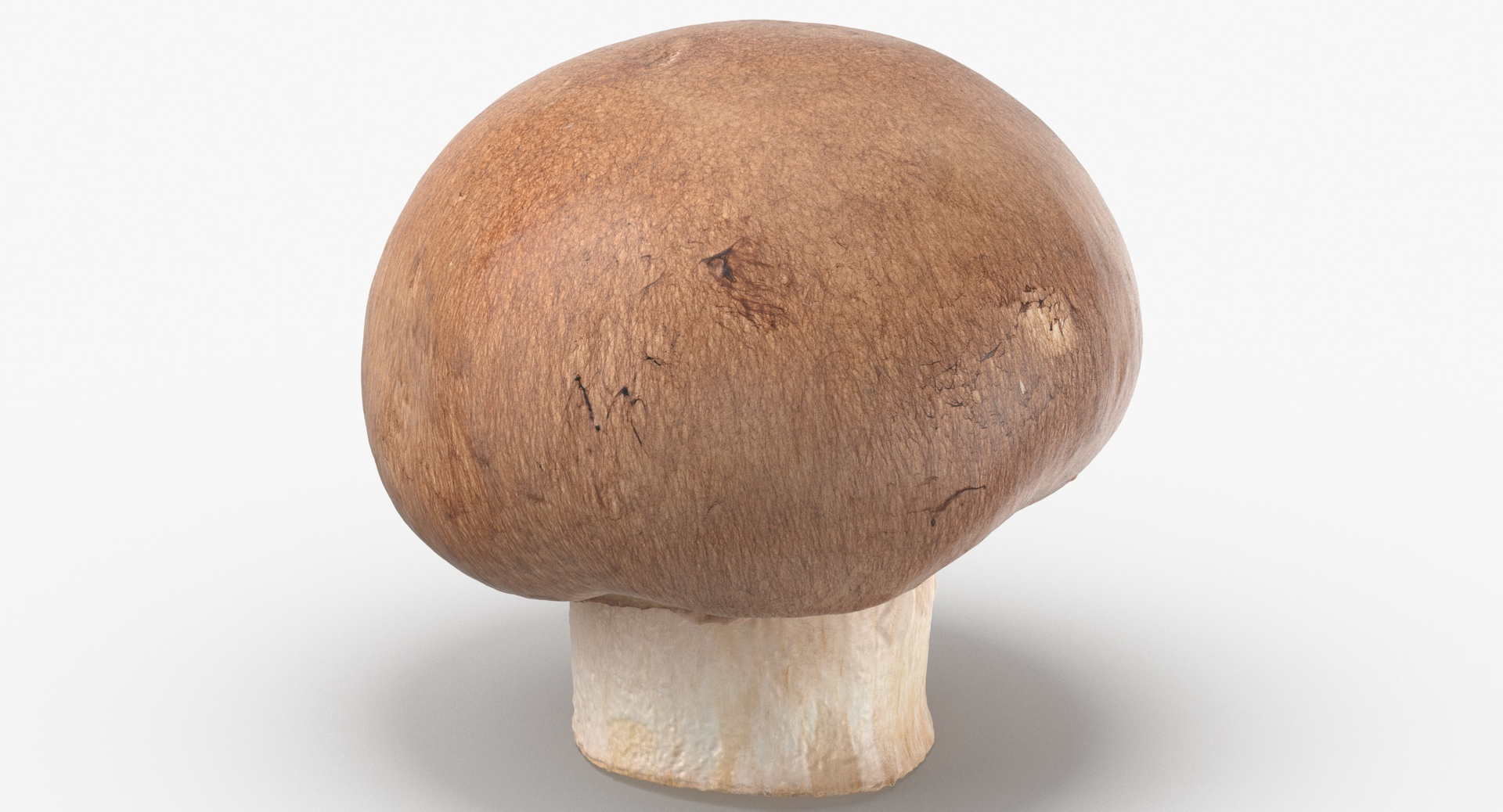 3D White and Crimino Mashrooms Collection 01 - 8 models https://p.turbosquid.com/ts-thumb/YU/n32y87/Il/0000/jpg/1584963869/1920x1080/turn_fit_q99/a4c4633a693485cac9a9db94d8799b4ff7d22af4/0000-1.jpg