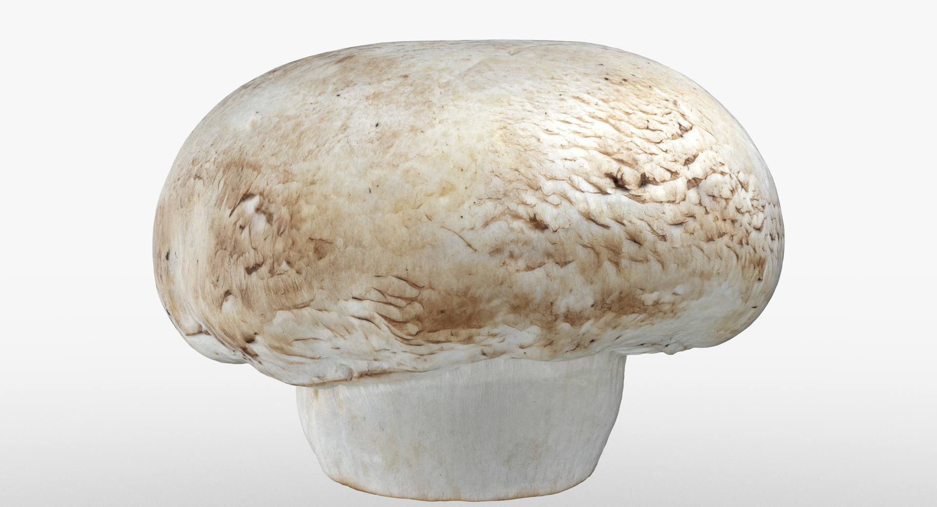 3D White and Crimino Mashrooms Collection 01 - 8 models https://p.turbosquid.com/ts-thumb/YU/n32y87/PA/0000/jpg/1555687664/1920x1080/turn_fit_q99/cb6f9bdb68d28f96ec176ae155a133b21b897120/0000-1.jpg