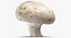 Collezione Mashrooms Bianco e Crimino 01 - 8 modelli