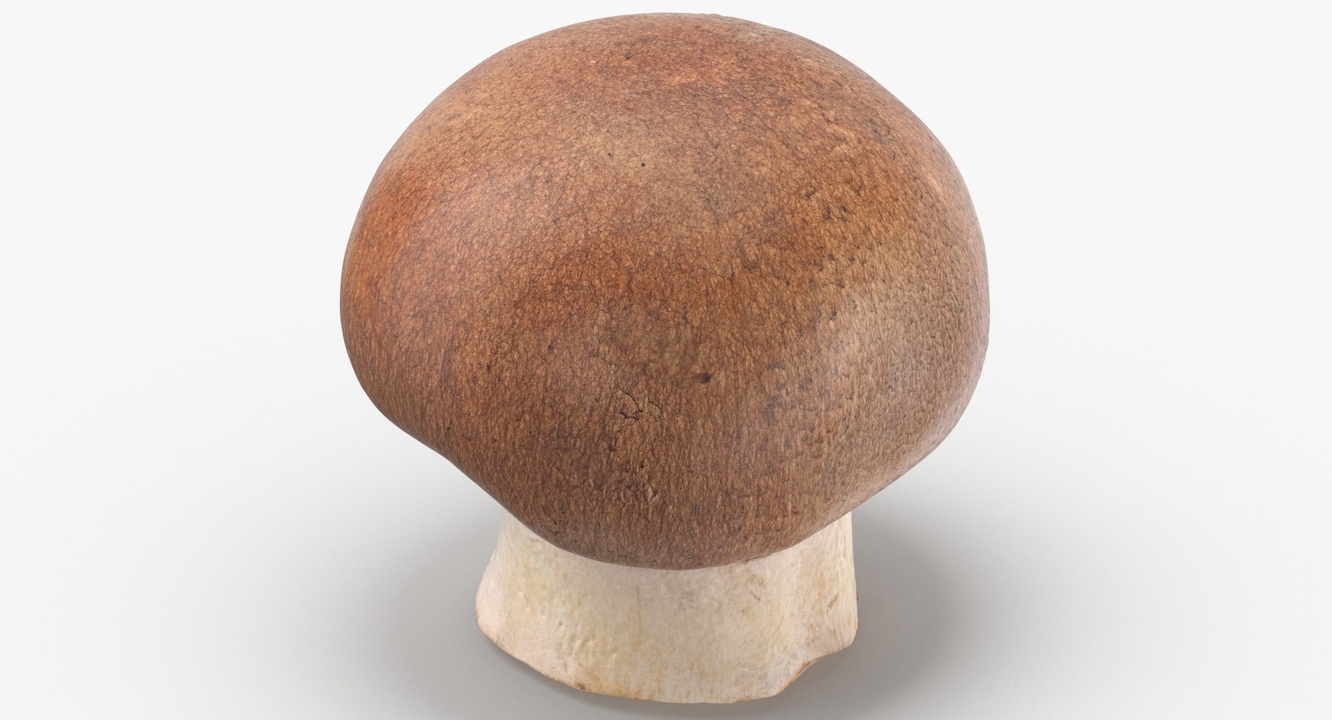 3D White and Crimino Mashrooms Collection 01 - 8 models https://p.turbosquid.com/ts-thumb/YU/n32y87/Sm/crimino_mushroom_02_thumbnail_0006.jpgb5d35c1322034f2381029934e93ad457zoom/jpg/1635431521/1920x1080/fit_q87/113566df96a2049c3323cb2f4a863a67131c749f/crimino_mushroom_02_thumbnail_0006.jpgb5d35c1322034f2381029934e93ad457zoom.jpg