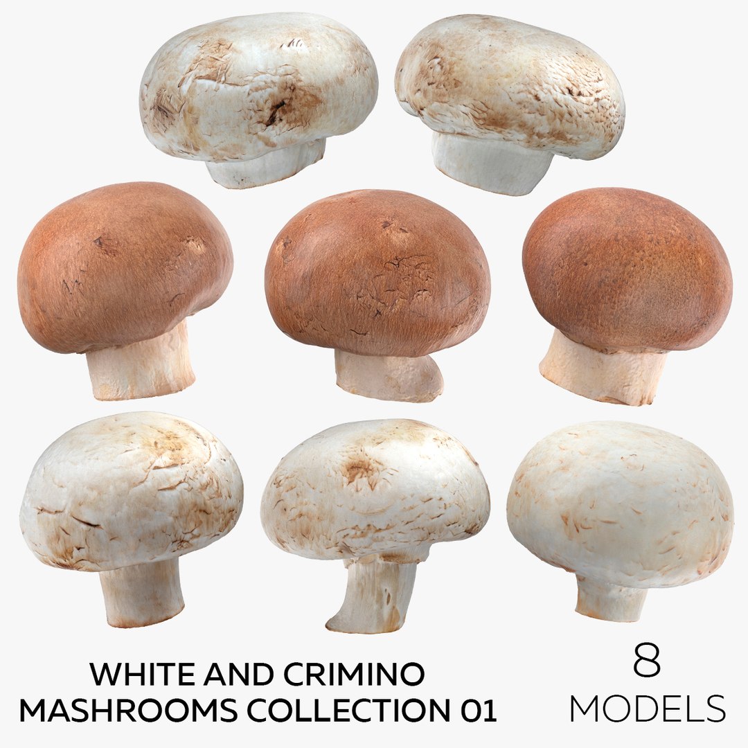 3D White and Crimino Mashrooms Collection 01 - 8 models https://p.turbosquid.com/ts-thumb/YU/n32y87/Tu/square/jpg/1635431420/1920x1080/fit_q87/01b35440783cc67453bd854d8ad81f33540b2150/square.jpg