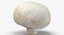 Collezione Mashrooms Bianco e Crimino 01 - 8 modelli
