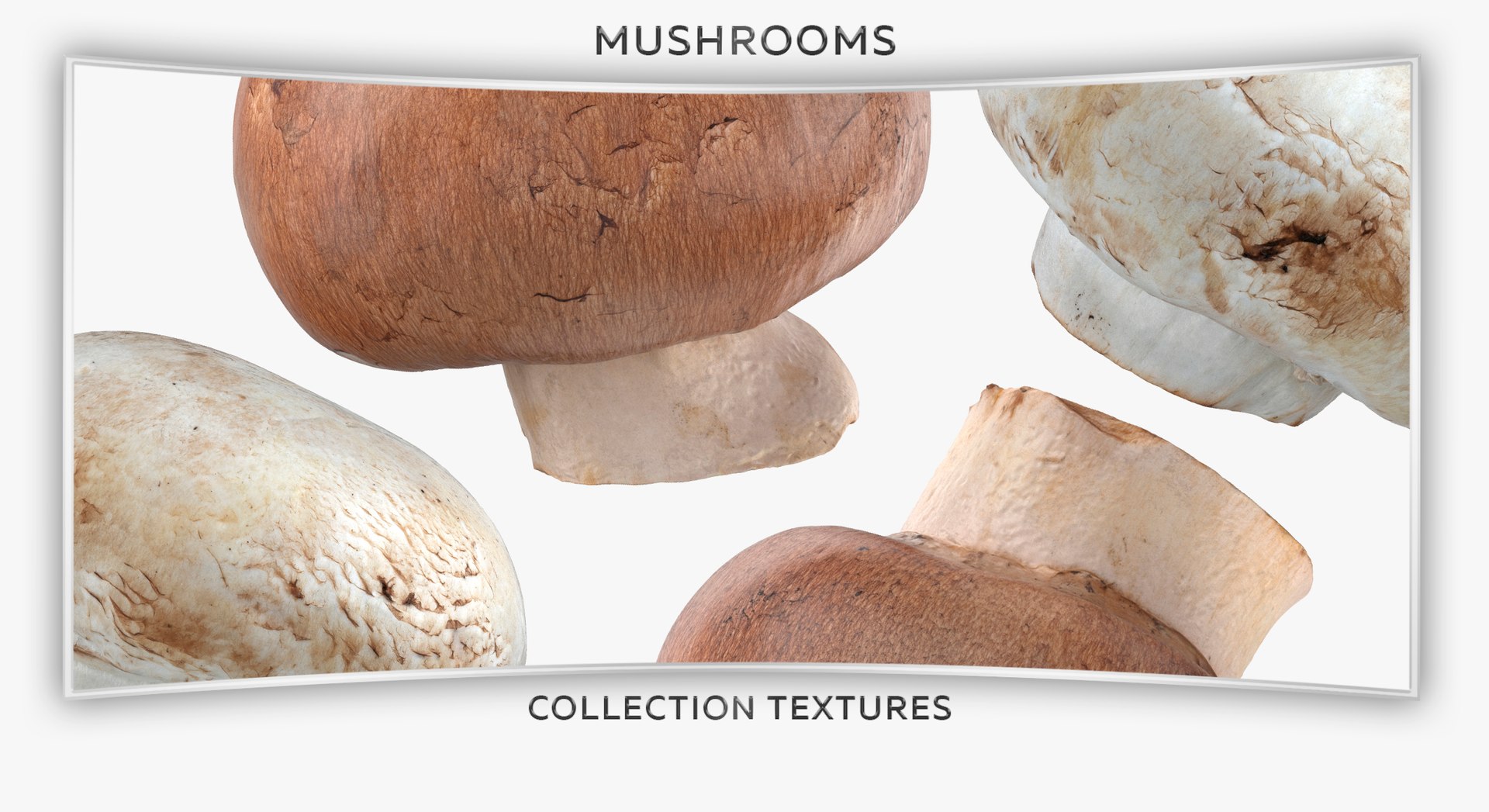 3D White and Crimino Mashrooms Collection 01 - 8 models https://p.turbosquid.com/ts-thumb/YU/n32y87/Xp/46t/jpg/1635431424/1920x1080/fit_q87/e1f0767c383f3513ec947db32cf195d9c3740acc/46t.jpg