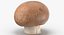 Collezione Mashrooms Bianco e Crimino 01 - 8 modelli