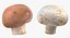 Collezione Mashrooms Bianco e Crimino 01 - 8 modelli
