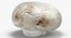 Collezione Mashrooms Bianco e Crimino 01 - 8 modelli
