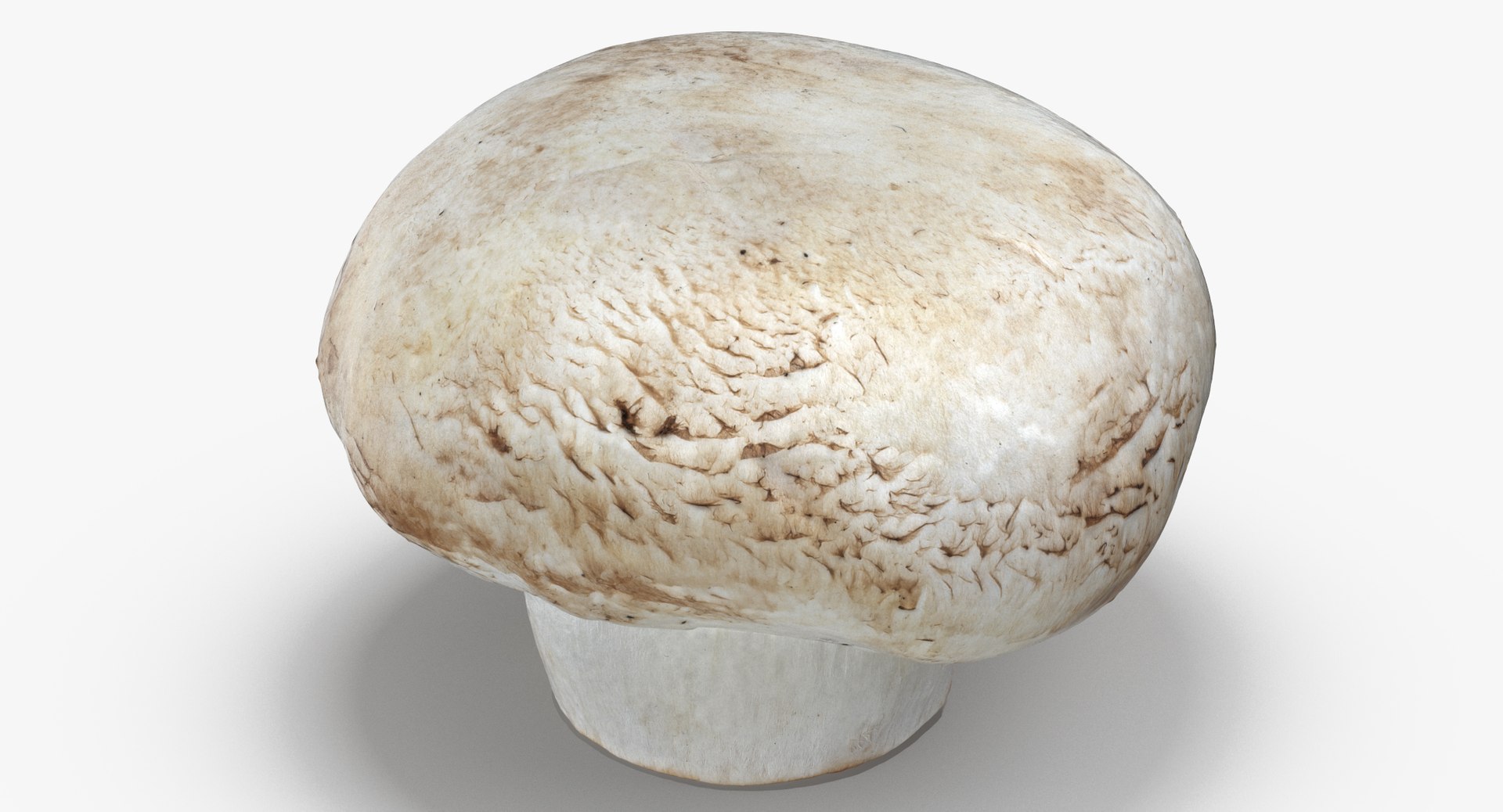 3D White and Crimino Mashrooms Collection 01 - 8 models https://p.turbosquid.com/ts-thumb/YU/n32y87/wE/white_button_mushroom_01_thumbnail_0004/jpg/1635431533/1920x1080/fit_q87/ea50b1c50f755bf9f4d0ca6881621913f6ce08b2/white_button_mushroom_01_thumbnail_0004.jpg
