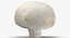 Collezione Mashrooms Bianco e Crimino 01 - 8 modelli