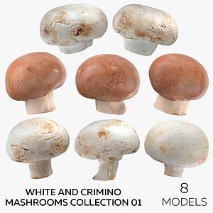 3D White and Crimino Mashrooms Collection 01 - 8 models