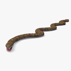 anacondas snakes 3d model