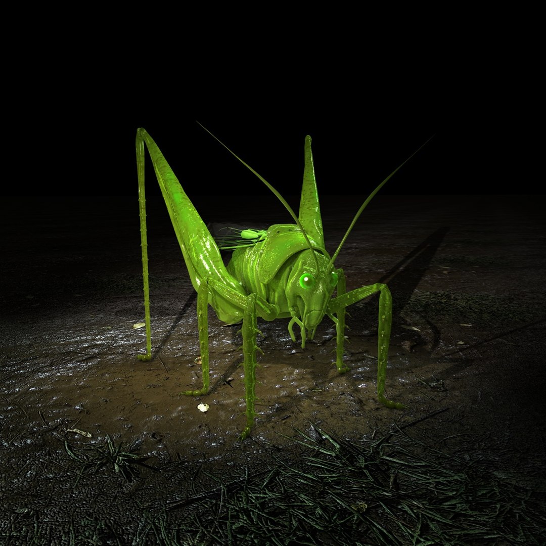 grasshopper 3d c4d https://p.turbosquid.com/ts-thumb/YU/oF9Bo1/xhHZbYiP/grasshoppergfcm01e/jpg/1317802164/1920x1080/fit_q87/8cd53e4131f6308881ee983005da03bcd2f138c9/grasshoppergfcm01e.jpg