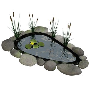 fish pond 3d model