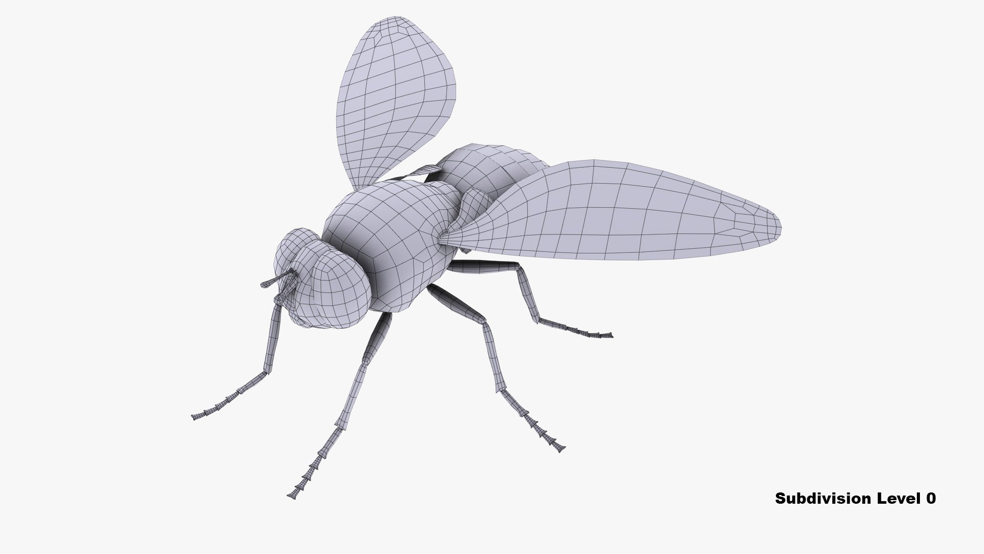 3ds max fly https://p.turbosquid.com/ts-thumb/YV/7DDqoW/TfVJ6LXy/fly_camera01_wire_thumbnail_10/jpg/1585232631/1920x1080/fit_q87/100124de621297af09b928ed91161197139a0d2a/fly_camera01_wire_thumbnail_10.jpg