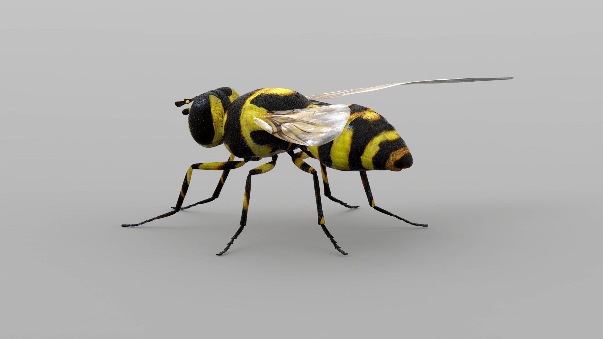 3ds max fly https://p.turbosquid.com/ts-thumb/YV/7DDqoW/vT9a28Dc/fl1200mater.11/jpg/1585232631/1920x1080/fit_q87/515e8c297447d41e2902b309800414a95911d249/fl1200mater.11.jpg