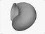CARACOL SHELL CROSS-POLARIZADO 3D SCAN LOW HIGH POLY MODELO 3D 16k 8k TEXTURAS