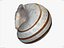CARACOL SHELL CROSS-POLARIZADO 3D SCAN LOW HIGH POLY MODELO 3D 16k 8k TEXTURAS