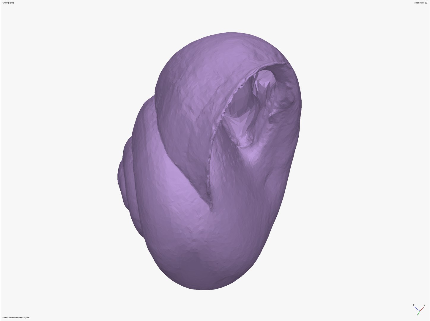 SNAIL SHELL CROSS-POLARIZED 3D SCAN  LOW HIGH POLY 3D MODEL 16k 8k TEXTURES 3D model https://p.turbosquid.com/ts-thumb/YV/ASyZWP/KN/snail_scr__0011_screenshot_10/jpg/1649063213/1920x1080/fit_q87/12aa0335a1b229c213c189ef1b17e7a3bd0ece89/snail_scr__0011_screenshot_10.jpg