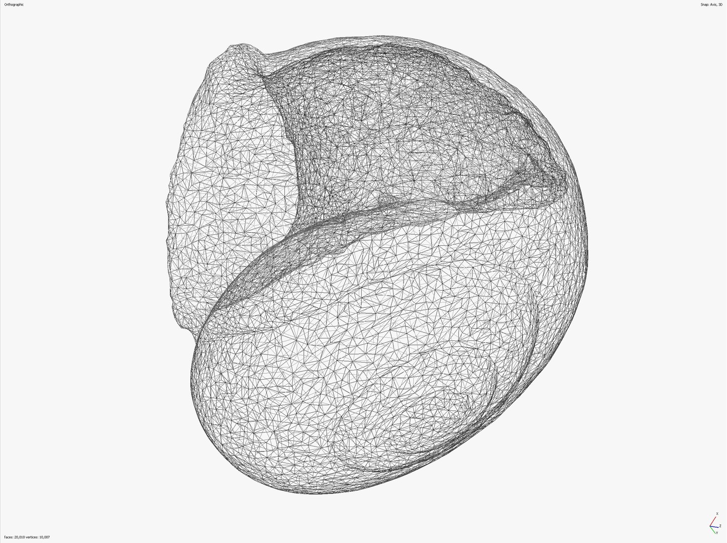 SNAIL SHELL CROSS-POLARIZED 3D SCAN  LOW HIGH POLY 3D MODEL 16k 8k TEXTURES 3D model https://p.turbosquid.com/ts-thumb/YV/ASyZWP/Sx/snail_scr__0002_screenshot_19/jpg/1649063644/1920x1080/fit_q87/29628a81eefd53dab06c52f6d81b86f8bca4a3f0/snail_scr__0002_screenshot_19.jpg