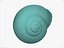 CARACOL SHELL CROSS-POLARIZADO 3D SCAN LOW HIGH POLY MODELO 3D 16k 8k TEXTURAS