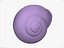 CARACOL SHELL CROSS-POLARIZADO 3D SCAN LOW HIGH POLY MODELO 3D 16k 8k TEXTURAS