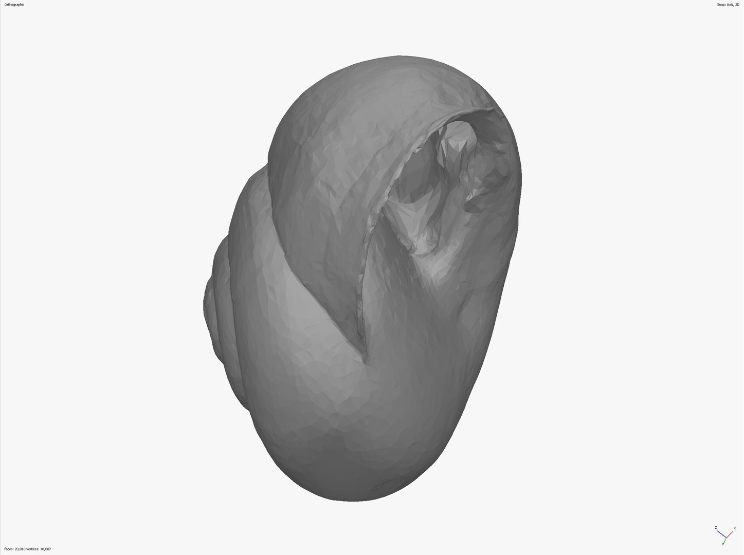 SNAIL SHELL CROSS-POLARIZED 3D SCAN  LOW HIGH POLY 3D MODEL 16k 8k TEXTURES 3D model https://p.turbosquid.com/ts-thumb/YV/ASyZWP/oX/snail_scr__0012_screenshot_9/jpg/1649063310/1920x1080/fit_q87/7c031aff3a6bddba98c52b9e87fe2c1dc224b287/snail_scr__0012_screenshot_9.jpg