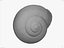 CARACOL SHELL CROSS-POLARIZADO 3D SCAN LOW HIGH POLY MODELO 3D 16k 8k TEXTURAS