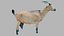 3D Goat OBJ