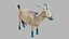 3D Goat OBJ