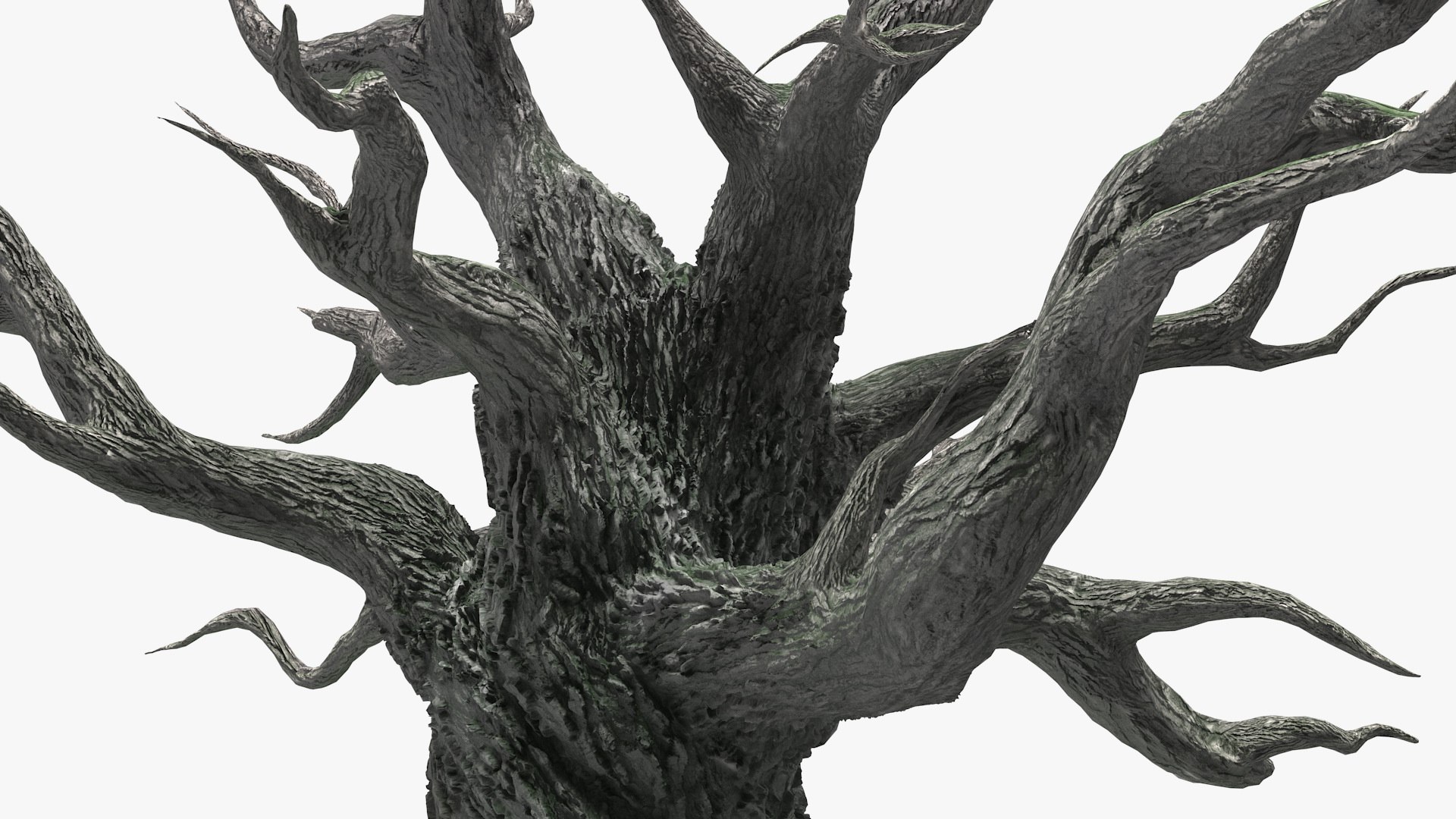 3D spooky old twisted tree winter model https://p.turbosquid.com/ts-thumb/YV/N2nyx3/CgVWlxU3/spookyoldtwistedtreemb3dmodel009/jpg/1588078987/1920x1080/fit_q87/9feea99d00ac55c647584d0616bc93e7e8fe58a9/spookyoldtwistedtreemb3dmodel009.jpg