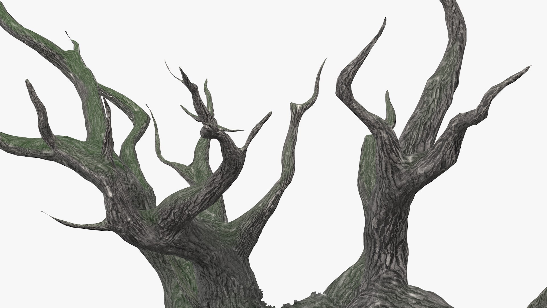3D spooky old twisted tree winter model https://p.turbosquid.com/ts-thumb/YV/N2nyx3/j9M88ovR/spookyoldtwistedtreemb3dmodel011/jpg/1588078995/1920x1080/fit_q87/c22f7ec98f1bab81695c50a2a9dcacdefa68feed/spookyoldtwistedtreemb3dmodel011.jpg